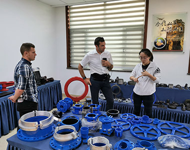 Mr Alex from Hawle-Germany come to visit us, he inspected every process for our production and give us his commendation.