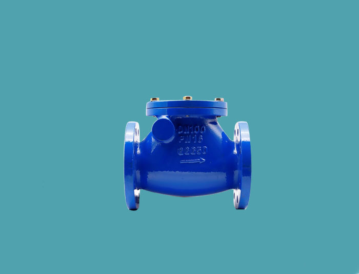 Swing Check Valve