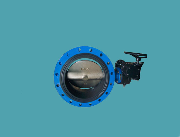 Concentric Butterfly Valve
