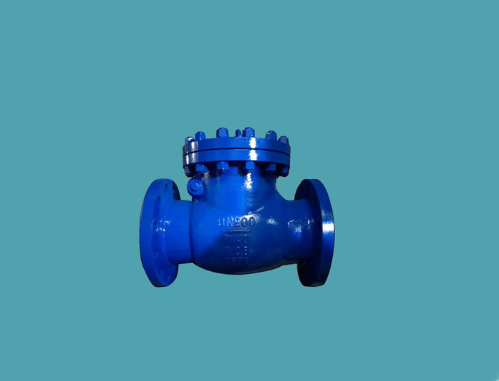 check valve