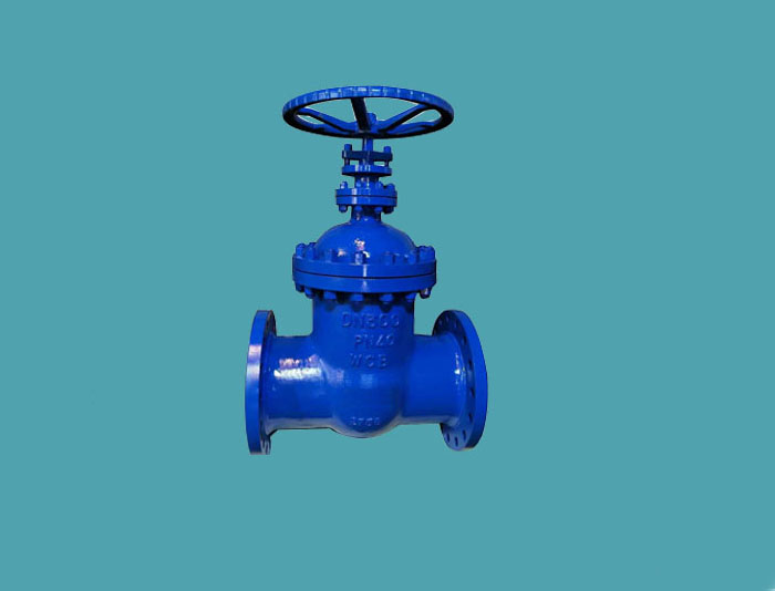 NRS Gate Valve