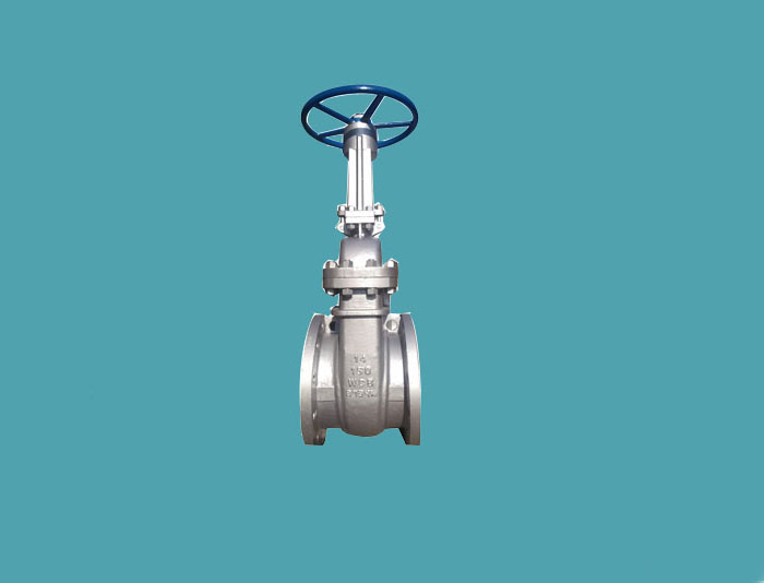 Rising Stem Gate Valve